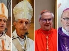 Todos fueron nombrados por Francisco.