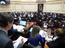Constitucionalistas advierten que Milei no podrá frenar en la Justicia las leyes que aprobó el Senado