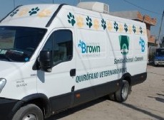El Municipio rescató a 17 animales de un criadero de perros ilegal