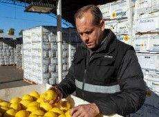 El Gobierno dispuso cambios en el control de los alimentos