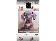 El actor y su pareja se mostraron felices por agrandar la familia y compartieron un tierno posteo en sus redes sociales.