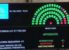 El Senado rechazó el veto del presidente a la ley de emergencia en Discapacidad