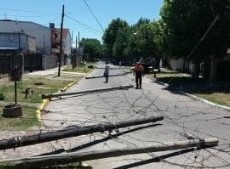 La altura del camión enganchó los cables y los postes terminaron sobre la calle.