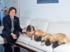 Javier Milei y sus perros.