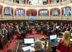 El proyecto fue aprobado con 22 votos a favor y 22 en contra, y la definición quedó en manos de Verónica Magario.