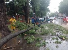 El Municipio lleva adelante un intenso operativo dando respuesta en las doce localidades frente al temporal que azotó a toda la zona sur del Conurbano.