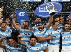 Los Pumas sumaron varios puntos en el ranking mundial tras la histórica victoria ante los All Blacks