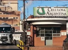 Celulosa paró la producción, adelantó vacaciones al personal y se habla de "quiebra"