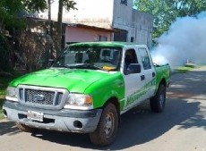 El Municipio recuerda que estos operativos gratuitos están a cargo de los equipos municipales autorizados.