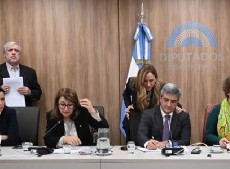 Diputados de todos los bloques acordaron exigir informes a Lugones por la falta de controles al fentanilo