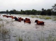 Productores bonaerenses renuevan el reclamo por obras tras las inundaciones