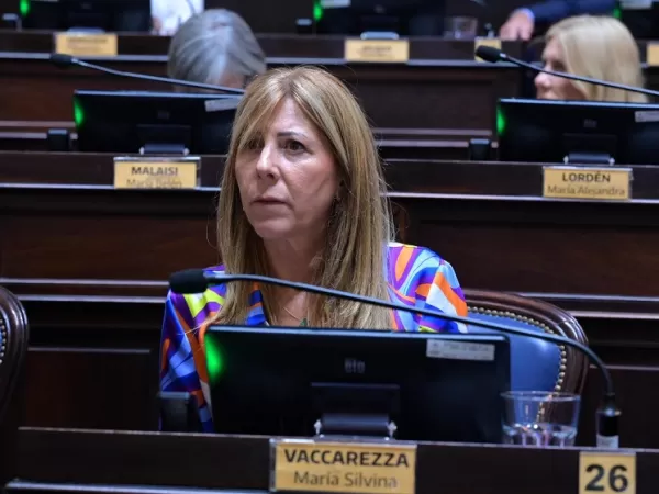 Vaccarezza cuestion&oacute; el ajuste de Milei en el INTA: &ldquo;Es una p&eacute;sima noticia para los productores&rdquo;