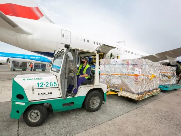 El Gobierno avanza con la privatizaci&oacute;n de Intercargo