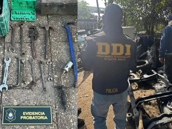 Desmantelaron un desarmadero de autos y apresaron a tres personas