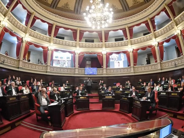 El Senado bonaerense design&oacute; vices, funcionarios y jefes de bloque