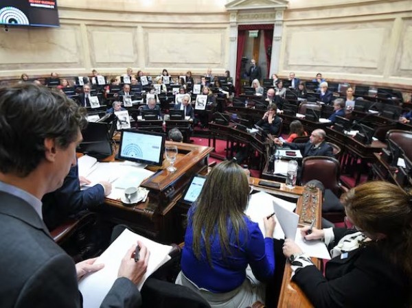 Constitucionalistas advierten que Milei no podrá frenar en la Justicia las leyes que aprobó el Senado