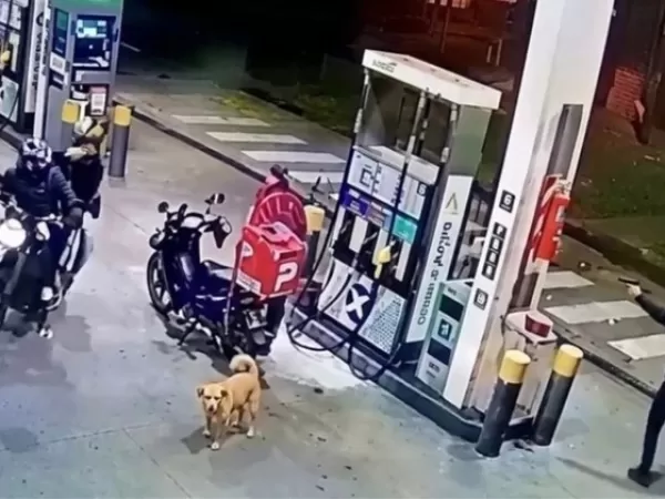 Un repartidor fue asaltado mientras estaba en una estaci&oacute;n de servicio y se defendi&oacute; a tiros