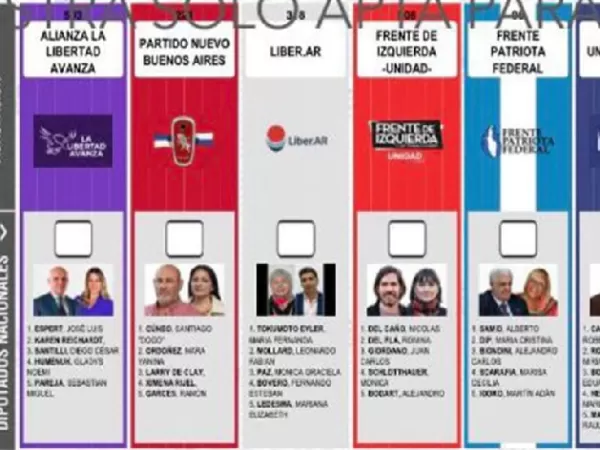 Con la Boleta &Uacute;nica de Papel como eje, la UCR impulsa una reforma electoral en la provincia de Buenos Aires