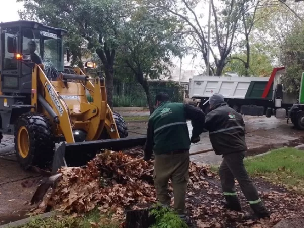 El Municipio realiza tareas de limpieza y saneamiento ante las intensas lluvias