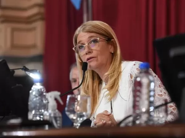 Magario demora la sesi&oacute;n en el Senado y las autoridades podr&iacute;an definirse en marzo