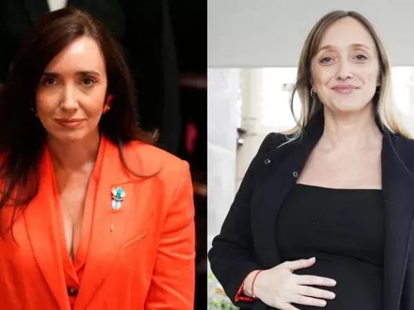 Victoria Villarruel autoriz&oacute; a que Fern&aacute;ndez Sagasti participe de forma virtual del debate por la Ley de Tierras