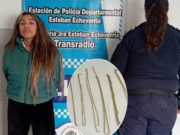 Cay&oacute; en un hotel alojamiento una acusada de cometer robos bajo la modalidad &ldquo;viuda negra&rdquo;