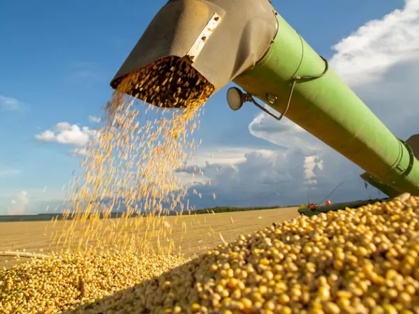 Brasil desplaz&oacute; a la Argentina como l&iacute;der mundial en exportaci&oacute;n de harina de soja