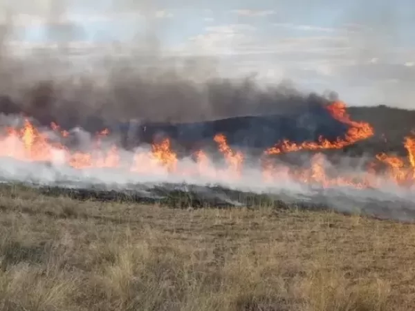 Riesgo de incendios forestales en 16 provincias