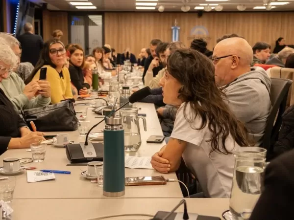 Diputados presionan y piden juicio pol&iacute;tico a Lugones por la crisis en Discapacidad