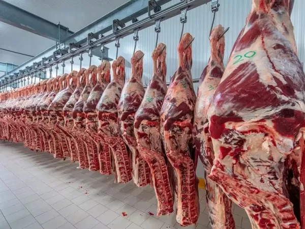 Productores advierten que el nuevo esquema chino abre un desaf&iacute;o para las exportaciones argentinas de carne vacuna