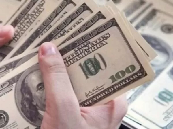 La Argentina encabeza el ranking global de ahorros fuera del sistema financiero