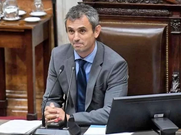 Martín Menem designó a un libertario en el Consejo de la Magistratura y quiere desplazar a la UCR