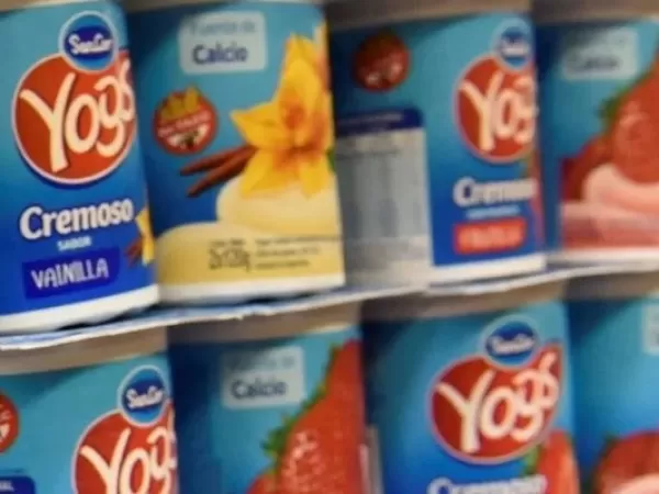 Se confirm&oacute; la quiebra de la fabricante de los yogures y postrecitos de famosa marca