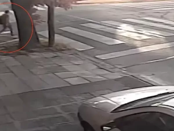 Una mujer fue degollada en plena calle y descartan un robo