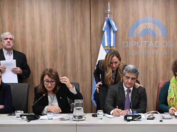 Diputados de todos los bloques acordaron exigir informes a Lugones por la falta de controles al fentanilo