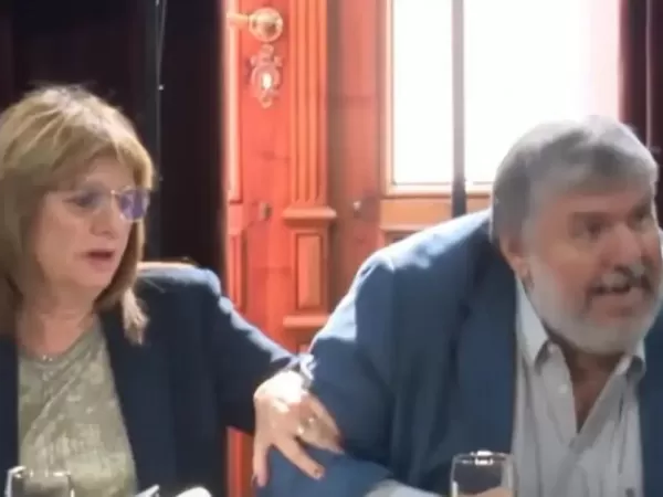 "Ac&aacute; hacen lo que se les canta las pelotas": el fuerte cruce entre Patricia Bullrich y Jos&eacute; Mayans en el Senado