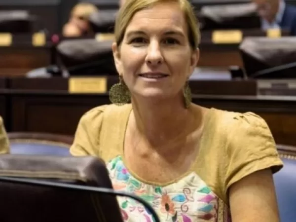 Diputada peronista busca crear un Defensor del Ni&ntilde;o en la provincia de Buenos Aires