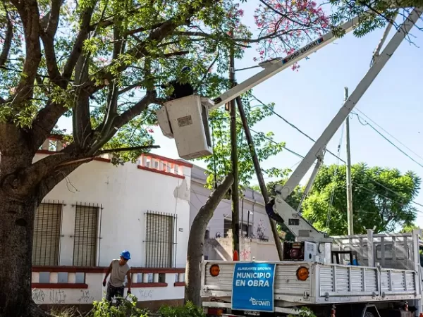 Profundizan operativos de despeje de luminarias