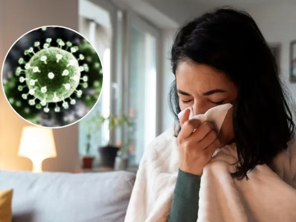 Confirmaron los primeros casos de la gripe H3N2 en la Argentina