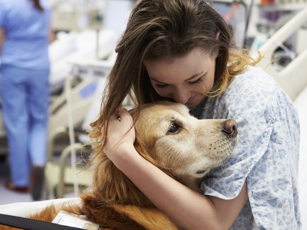 Impulsan una ley para que los animales de compañía puedan entrar a los hospitales