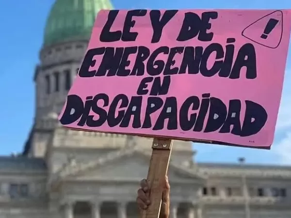 El Gobierno oficializ&oacute; la Ley de Emergencia en Discapacidad