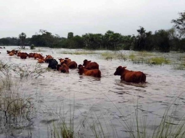 Productores bonaerenses renuevan el reclamo por obras tras las inundaciones