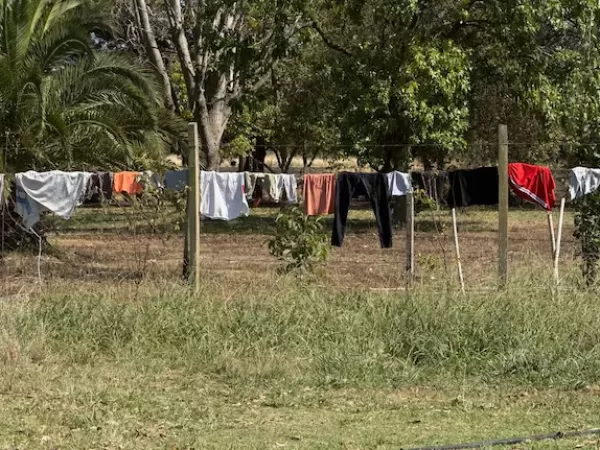 Detuvieron a las due&ntilde;as de un hogar de menores acusadas de explotar a 13 ni&ntilde;os y reducirlos a la servidumbre