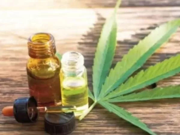 Provincia cre&oacute; un Consejo Consultivo para avanzar en pol&iacute;ticas sobre el cannabis medicinal