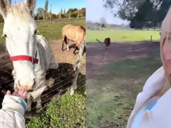 Nicole Neumann adopt&oacute; un gallo y gener&oacute; sorpresa en las redes