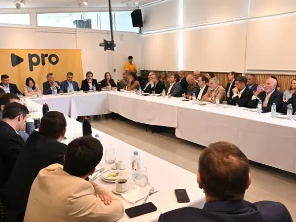 El PRO toma distancia de LLA y busca hacer valer sus votos: “Tendrán que dialogar más para aprobar leyes”