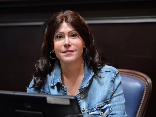 Una diputada se lanz&oacute; contra el Gobierno, tras el plan de &ldquo;retiros voluntarios&rdquo; que se ofrecieron en ANSES