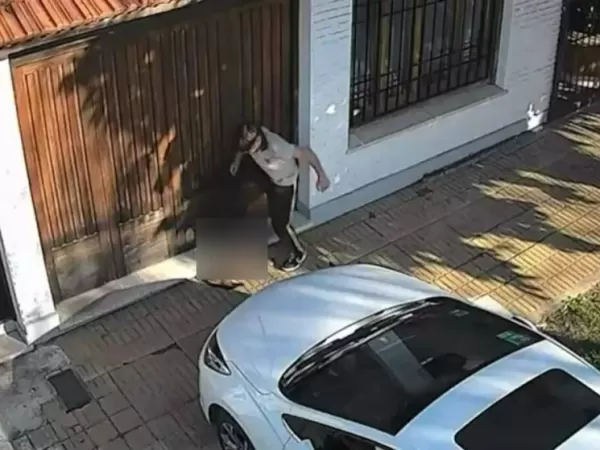 Una fiscal investiga de oficio al chico que le pate&oacute; la cabeza a un gato en Temperley