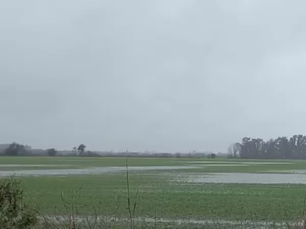 La ONU ratific&oacute; que El Ni&ntilde;o podr&iacute;a ser el m&aacute;s fuerte de los &uacute;ltimos 40 a&ntilde;os: &ldquo;Se est&aacute; volviendo gigantesco&rdquo;