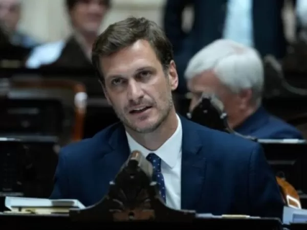 Un diputado compr&oacute; un rifle por delivery y se lo enviaron a la C&aacute;mara de Diputados